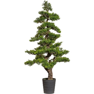 Umělá Bonsaj čajovník, 160cm