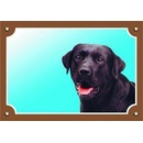 Beaphar Tabulka Tady hlídám! Labradorský retriever tmavý 1 ks