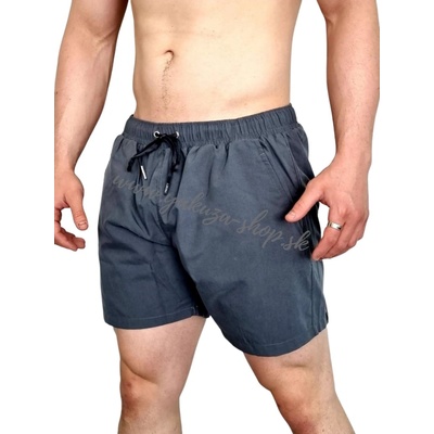 Alpha Industries plavky Hydrochromic AOP Swim Short pánské šortky Alpha Rep Grey