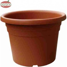 ICS DAHLIA 25x18 cm