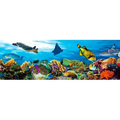 Dimex KI180-092 Samolepící fototapeta do kuchyně Fish rozměry 180 x 60 cm