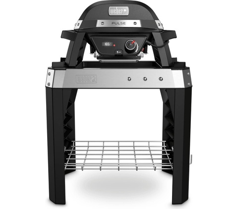 Weber PULSE 100