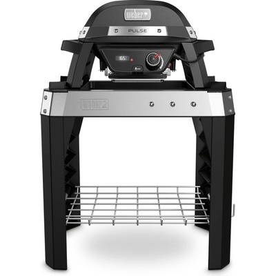 Weber PULSE 100