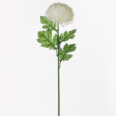KS CHRYZANTÉMA 66CM BIELA