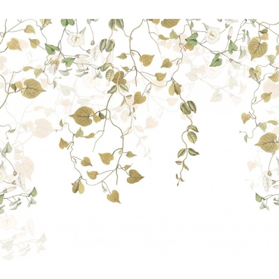 Komar Vliesová fototapeta Hedera rozměry 300 x 280 cm
