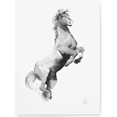 Plakát Horse 30x40