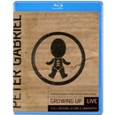 GABRIEL PETER: GROWING UP -BR+CD- BD