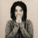 BJORK: DEBUT CD