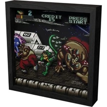 Pixel Frames - Battletoads Big Bad Bo 23x23cm, RET00306