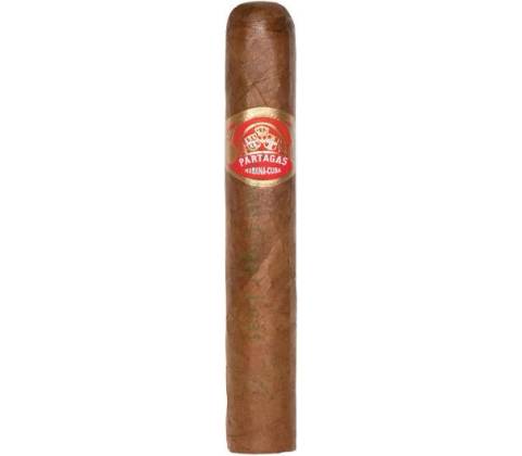 Partagas Shorts