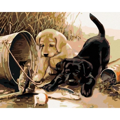 zuty Malování podle čísel Štěňata s rybou 50 x 40 cm vypnuté plátno na rám 8596530043973