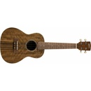 Henry`s Instruments HEUKE10M-S01