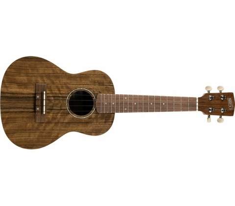 Henry`s Instruments HEUKE10M-S01