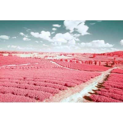 DIMEX ART Флизелинов фототапет инфрачервен пейзаж 375 x 250 см