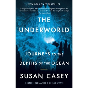UNDERWORLD (ISBN: 9781984898869)