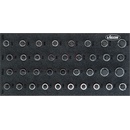 VIGOR V5099