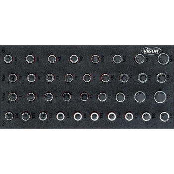 VIGOR V5099