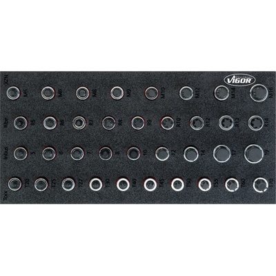 VIGOR V5099