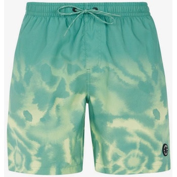 Protest Мъжки плажни шорти Protest PRTAGDO Protest | Zelen | МЪЖЕ | M