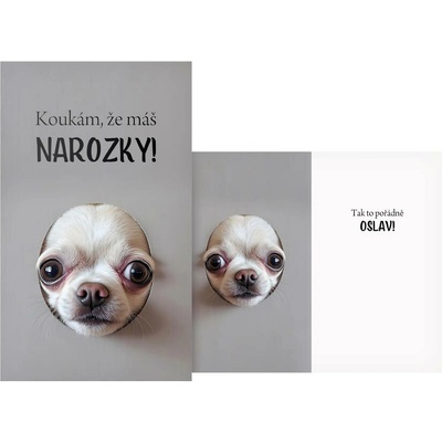 Přání k narozeninám 55 M11-515 H