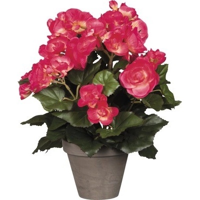 Umělá rostlina Begónie, 30 cm, barva květu: růžová 977506