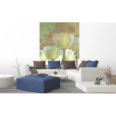 Dimex MS-2-0385 Vliesová fototapeta na zeď Astrakt bílé tulipány rozměry 150 x 250 cm