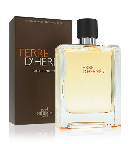 Hermès Terre D'Hermès toaletná voda pánska 50 ml od 44,54