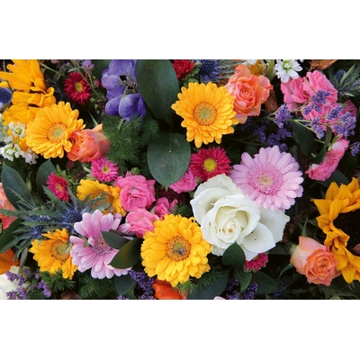 DIMEX ART Флизелинов фототапет смесен букет 375 x 250 см