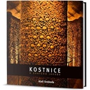 Kostnice