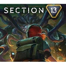 Section 13
