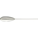 Iron Trout Sphiro Posen 12g
