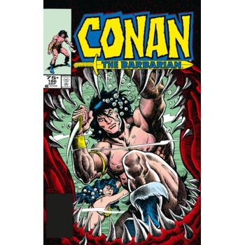 Conan The Barbarian: The Original Comics Omnibus