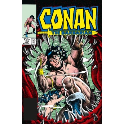Conan The Barbarian: The Original Comics Omnibus