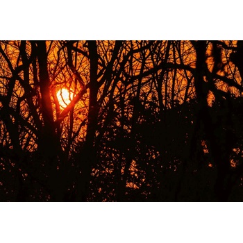 DIMEX ART s. r. o Флизелинов фототапет силует от клони 375 x 250 см