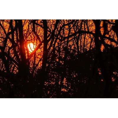 DIMEX ART Флизелинов фототапет силует от клони 375 x 250 см