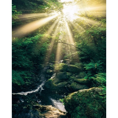 Komar Vliesová fototapeta Divine rozměry 200 x 250 cm