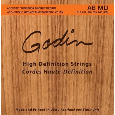 Godin Strings Acoustic Guitar MD – Zboží Mobilmania