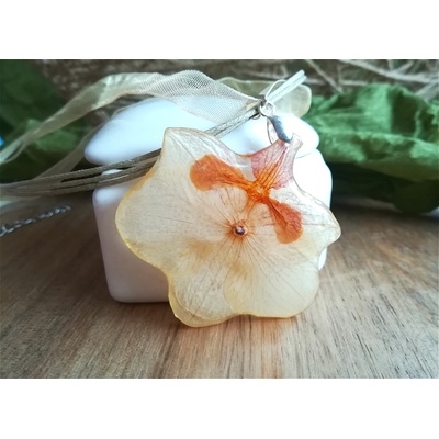 Meganflo Малка орхидея