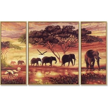 Schipper Afrika sloní karavana