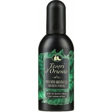 Tesori d'Oriente Sandalo Del Kashmir & Vetiver parfémovaná voda pánská 100 ml