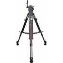 Cartoni Focus 8