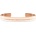 Daniel Wellington Гривна Daniel Wellington (DW00400067)