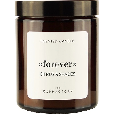 Ambientair The Olphactory Citrus & Shades Forever 135 g