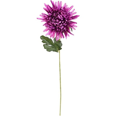KS CHRYZANTÉMA FIALOVÁ 60CM