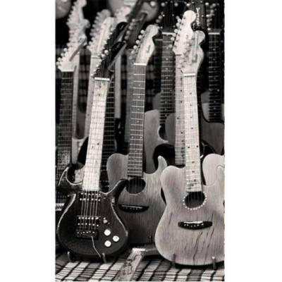 DIMEX MS-2-0303 Vliesová fototapeta na zeď Gitarová kolekcia, rozmery 150 x 250 cm