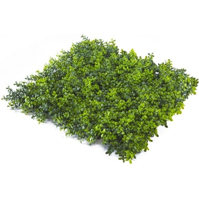 Umělý živý plot BUXUS JAPONICUS , dílec 50x50cm