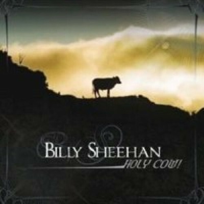 Sheehan Billy - Holy Cow CD