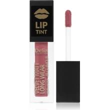 Delia Cosmetics Lip Tint 010 Nude Rose 5 ml