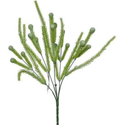 ZÁPICH BRUNIA ZELENÁ 34CM