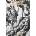 Norse Gods, Monsters & Myths | Jessica Suess, Vkng Jewelry